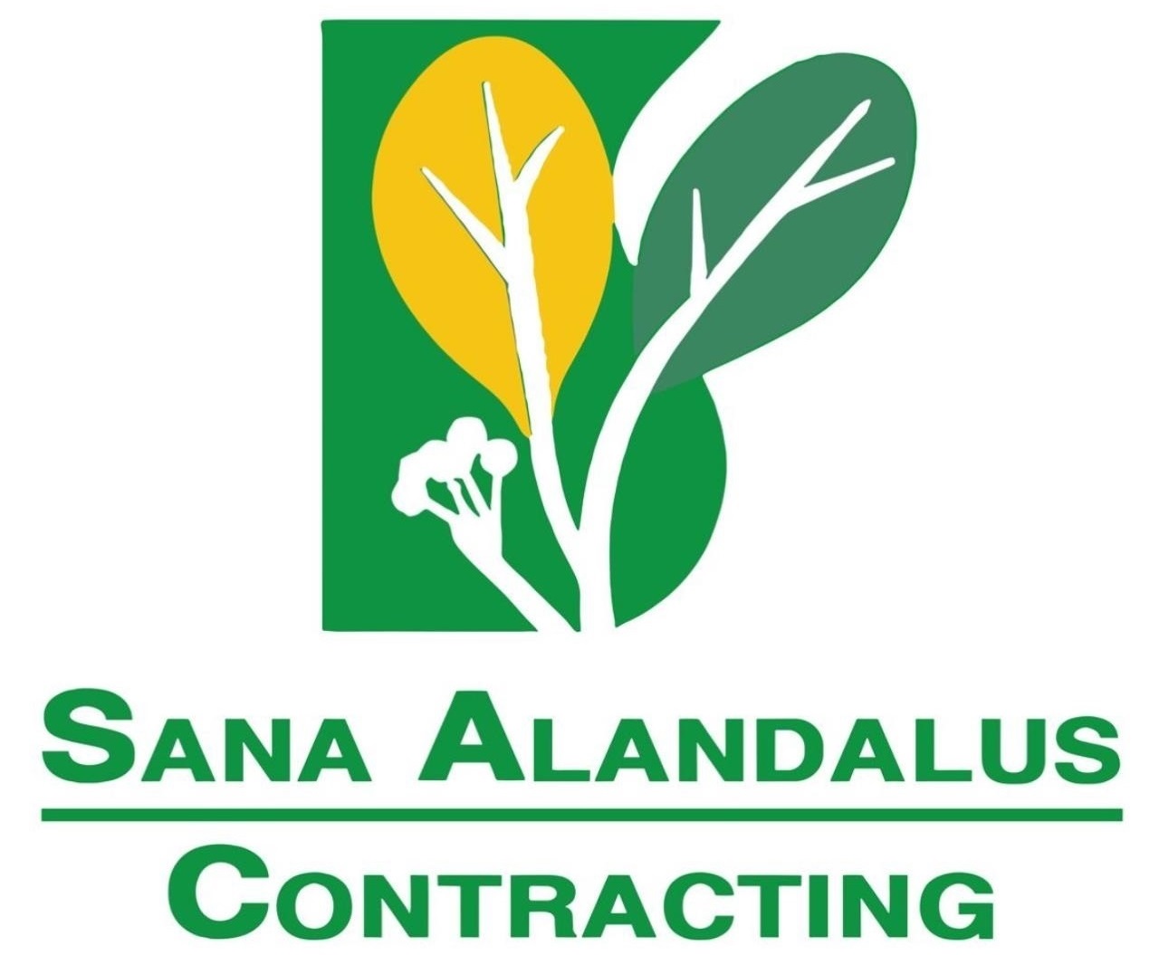 WhatsApp Image 2025-02-04 at 2.45.28 PM